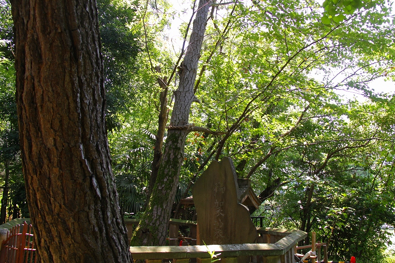 f0229832_13393456.jpg