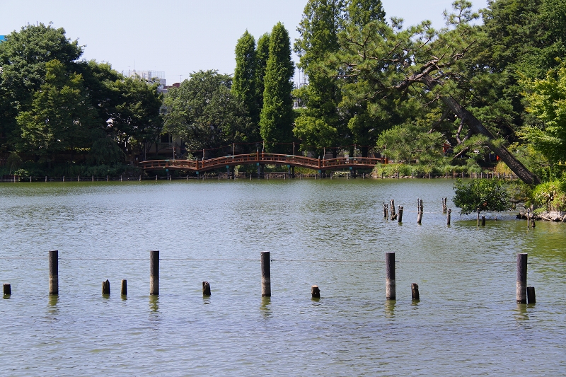 f0229832_1441038.jpg