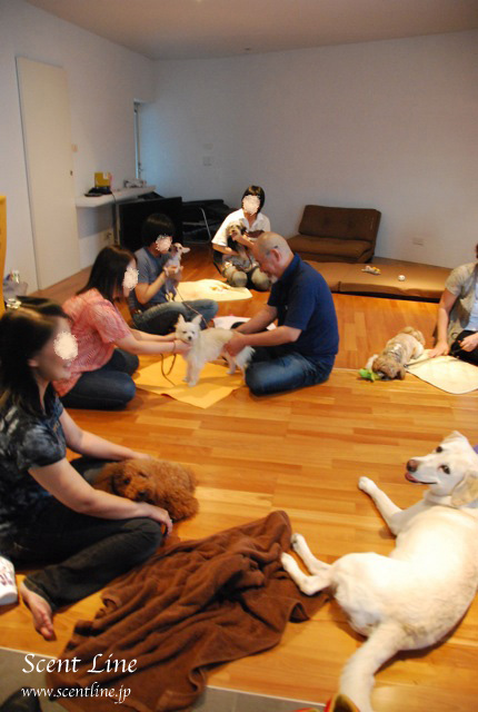 「愛犬の為の整体教室」第1回の模様_c0099133_1073731.jpg
