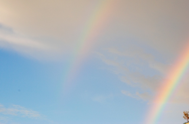 b0204337_19398.jpg