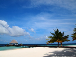 b0038638_11322379.jpg