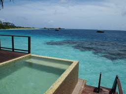b0038638_11363925.jpg