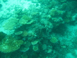 b0038638_11403776.jpg