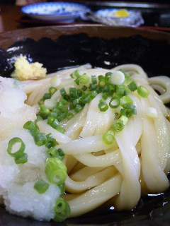 SON四郎・関西・秋場所初日_a0103940_12161568.jpg