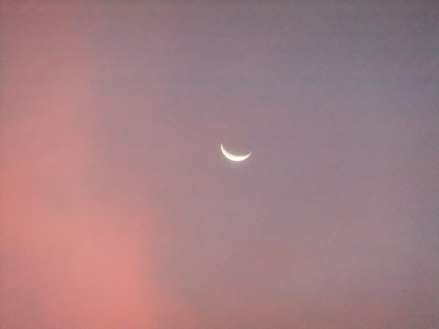 f0210340_17114898.jpg