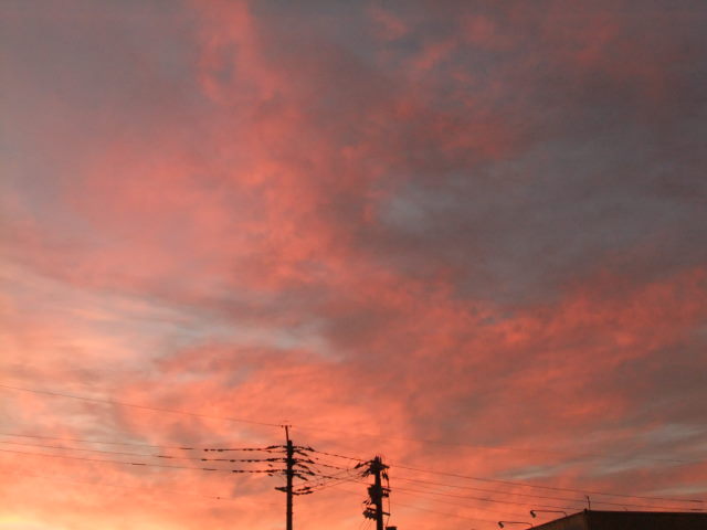 f0210340_1714081.jpg