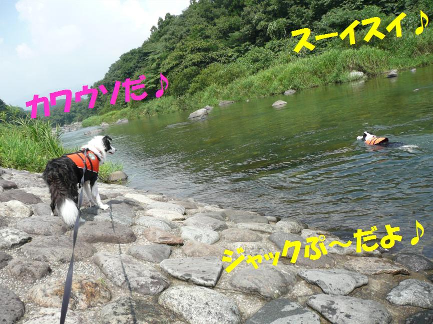 c0147241_20185234.jpg