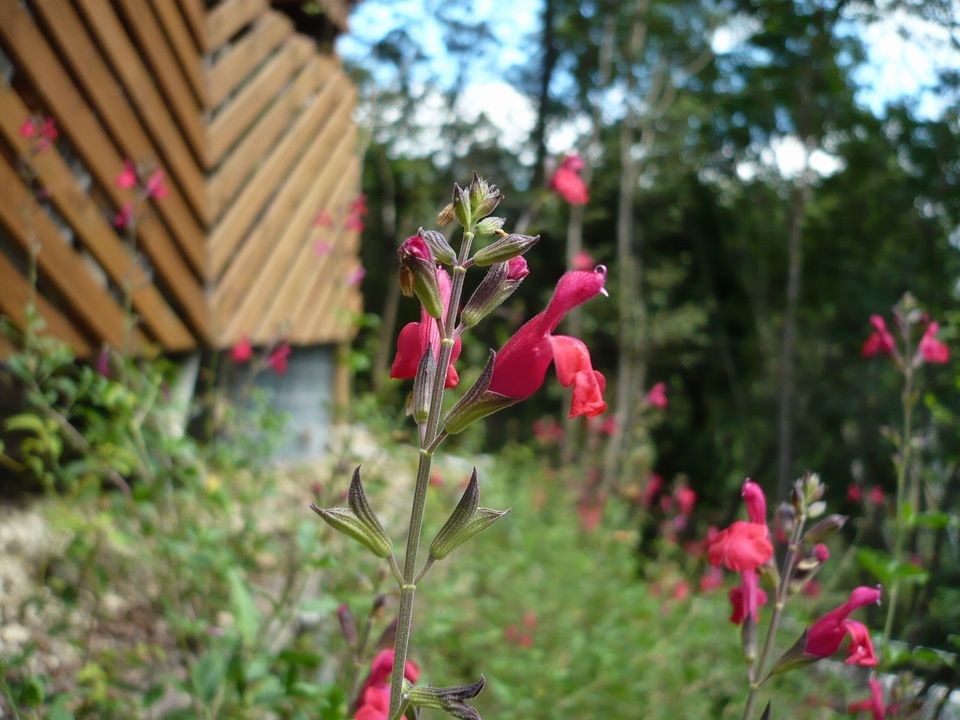 f0090444_14334098.jpg
