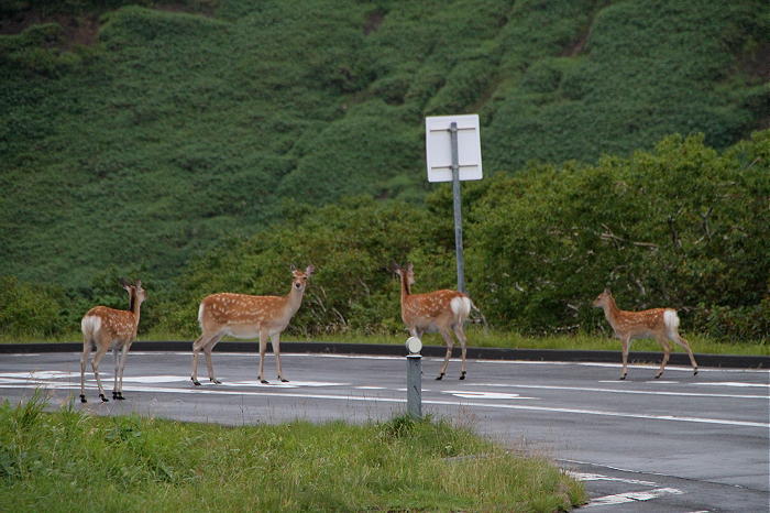 \'10 北海道ツーリング その7　(8月22日　4日目 その1)_b0168647_10425648.jpg