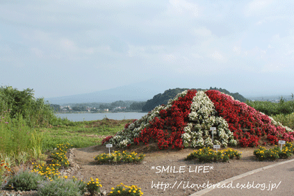 静岡旅行*3*雄大な富士山周辺_e0182147_4383069.gif