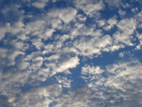 d0139452_234077.jpg