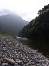 d0101455_22163287.jpg