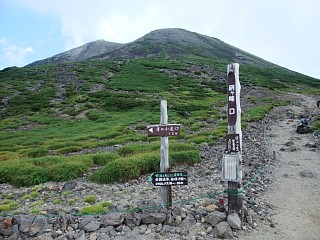 d0063060_1125327.jpg