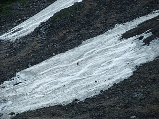 d0063060_11511981.jpg