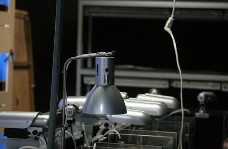a0162263_22432998.jpg