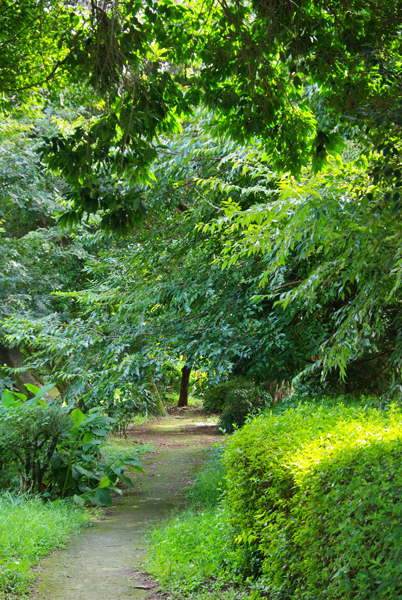 b0145668_1122689.jpg