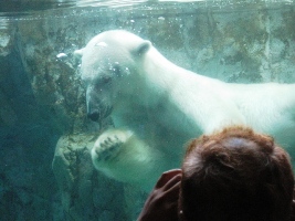 旭山動物園とランチ_d0140668_1533139.jpg