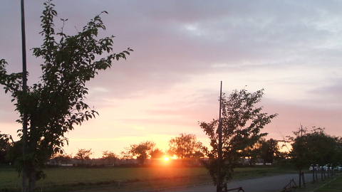c0022275_98852.jpg