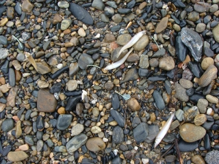 d0182075_12451668.jpg