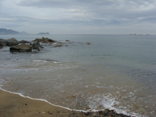 d0182075_1248751.jpg