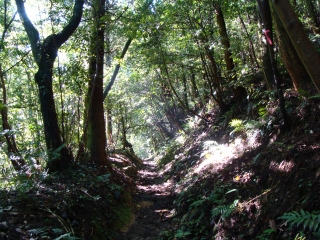 d0182075_337295.jpg