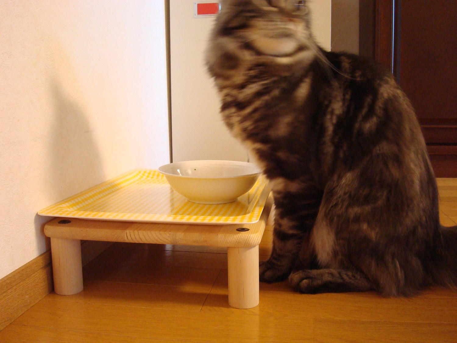 猫のごはん台 高さを変える 静かな日々