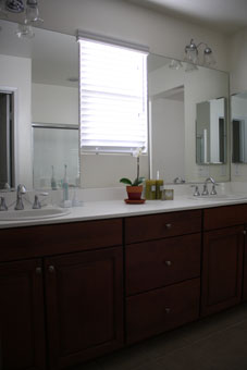 Orchid in master bathroom_f0028677_2103019.jpg