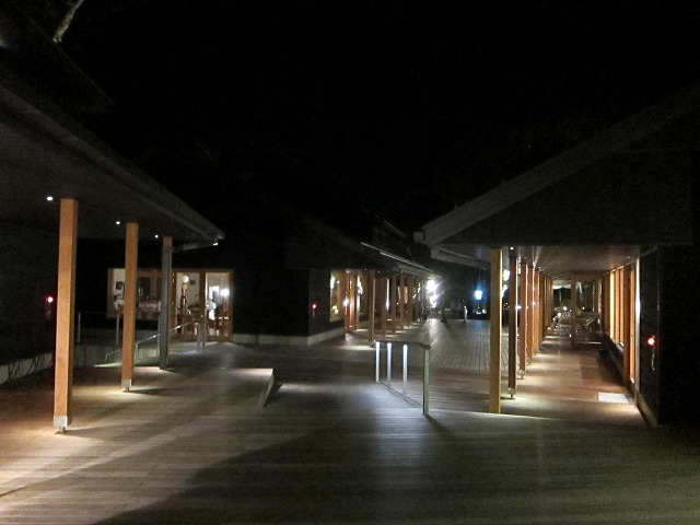久しぶりのハルニレ_d0133485_814931.jpg