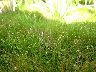 f0234087_21455697.jpg
