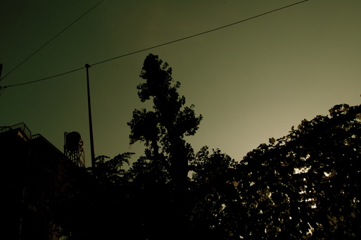 c0026089_15114439.jpg