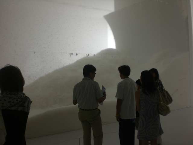 ネイチャー・センス展 in 森美術館_f0083294_22302321.jpg