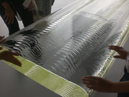 ネイチャー・センス展 in 森美術館_f0083294_2244714.jpg