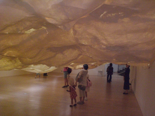 ネイチャー・センス展 in 森美術館_f0083294_2250523.jpg