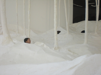 ネイチャー・センス展 in 森美術館_f0083294_22565083.jpg