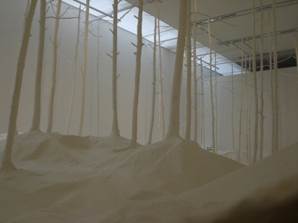 ネイチャー・センス展 in 森美術館_f0083294_2258716.jpg