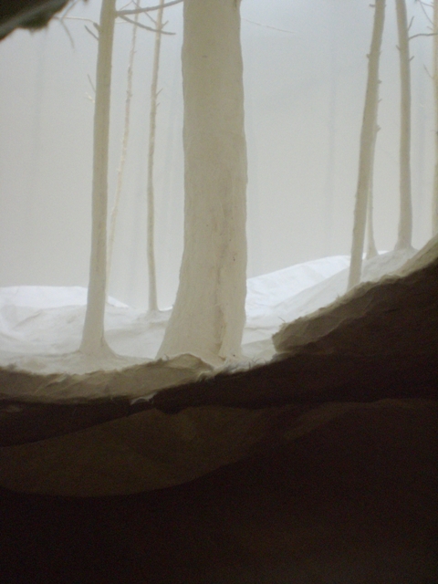 ネイチャー・センス展 in 森美術館_f0083294_23164699.jpg