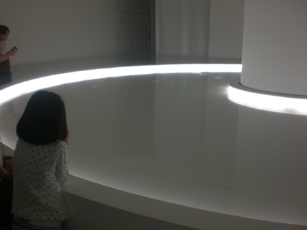 ネイチャー・センス展 in 森美術館_f0083294_2381074.jpg