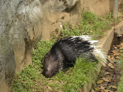 c0086895_1654420.jpg