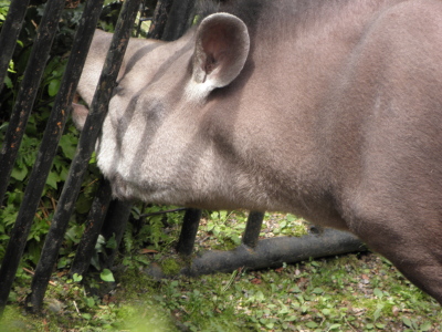 c0086895_166460.jpg