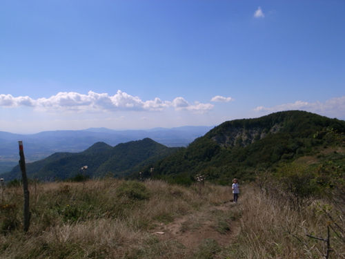 楽しい土曜日の山登りでした_f0106597_23394499.jpg