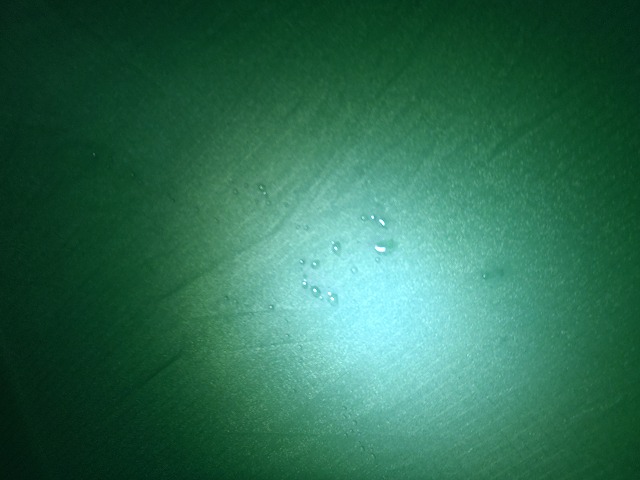 c0147398_041138.jpg