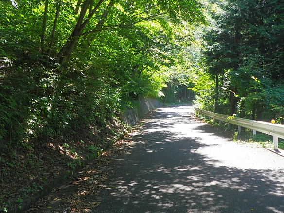 山へ自転車で　その1　東京～塩山_f0194599_17162785.jpg