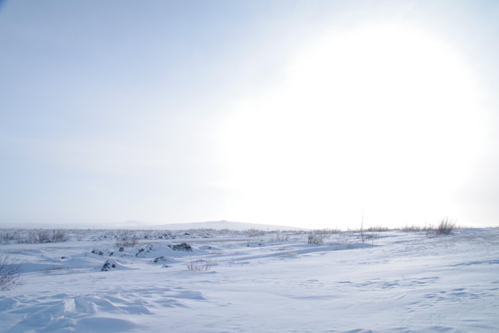 c0080101_973716.jpg