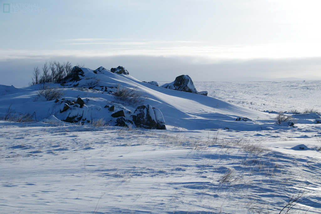c0080101_974798.jpg
