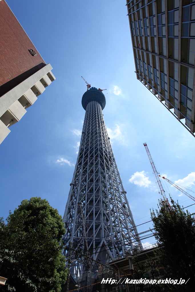 f0236302_13153133.jpg