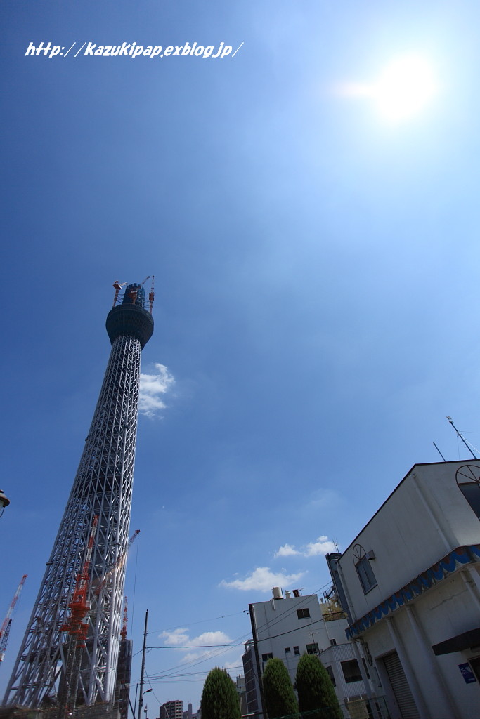 f0236302_137719.jpg