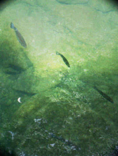 d0077603_10515176.jpg