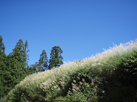 f0022103_2395893.jpg