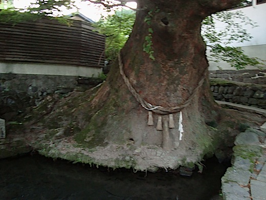 c0052304_23185890.jpg