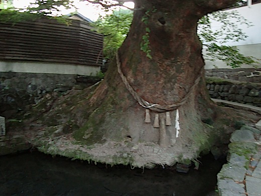 けやき水源 in 小国_c0052304_23185890.jpg